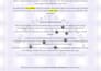 do a live psychic reading via text chat, audio, or video
